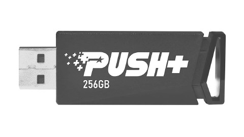 PEN DRIVE PATRIOT LS PUSH 256 GB